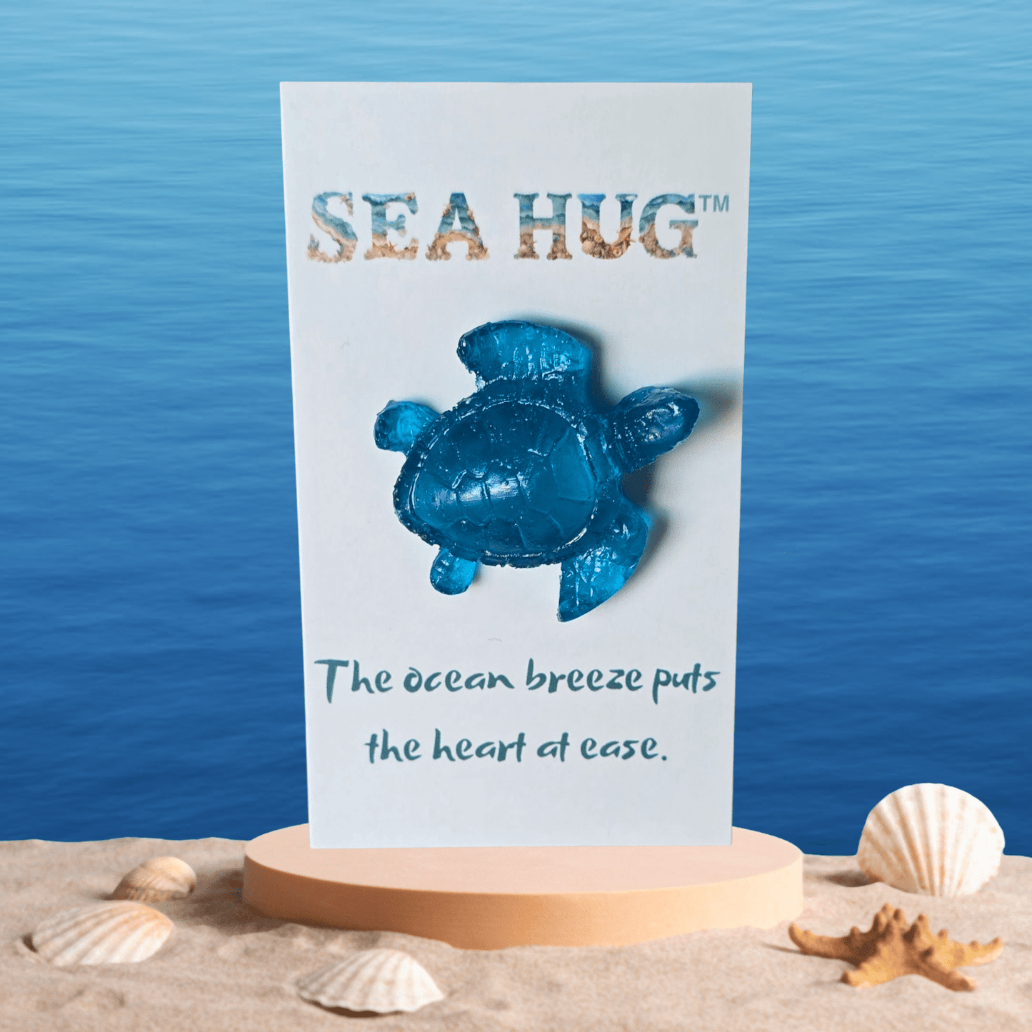 Sea Hug aqua sea turtle pocket hug card - Latitudes Designs