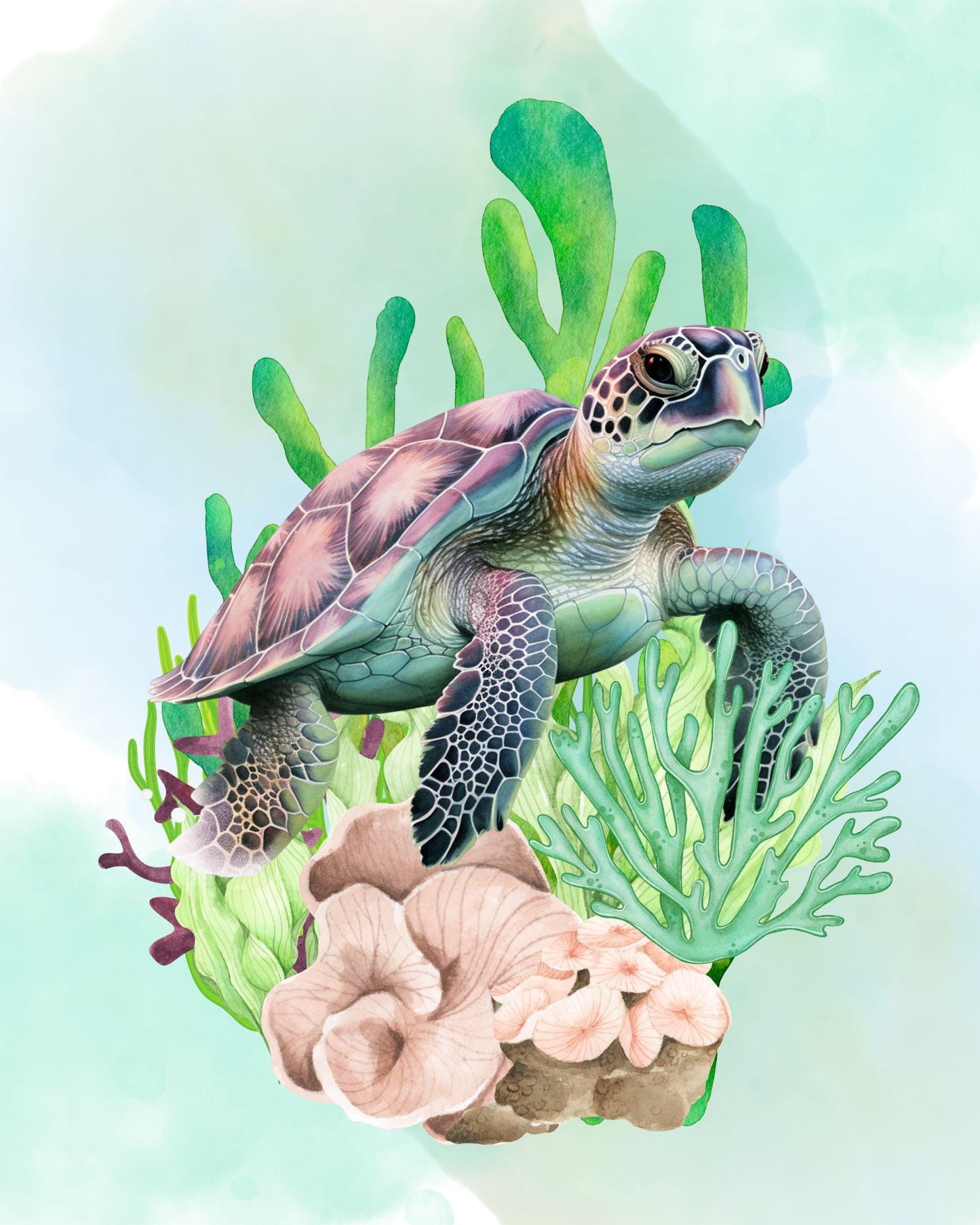 Sea turtle 8x10 art print - Latitudes Designs