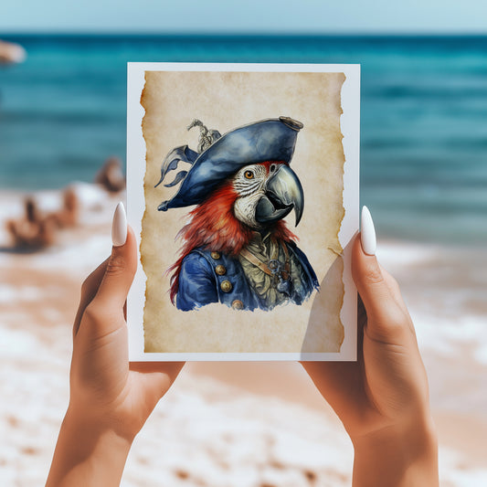 Pirates and Parrots set of three 5x7 cards