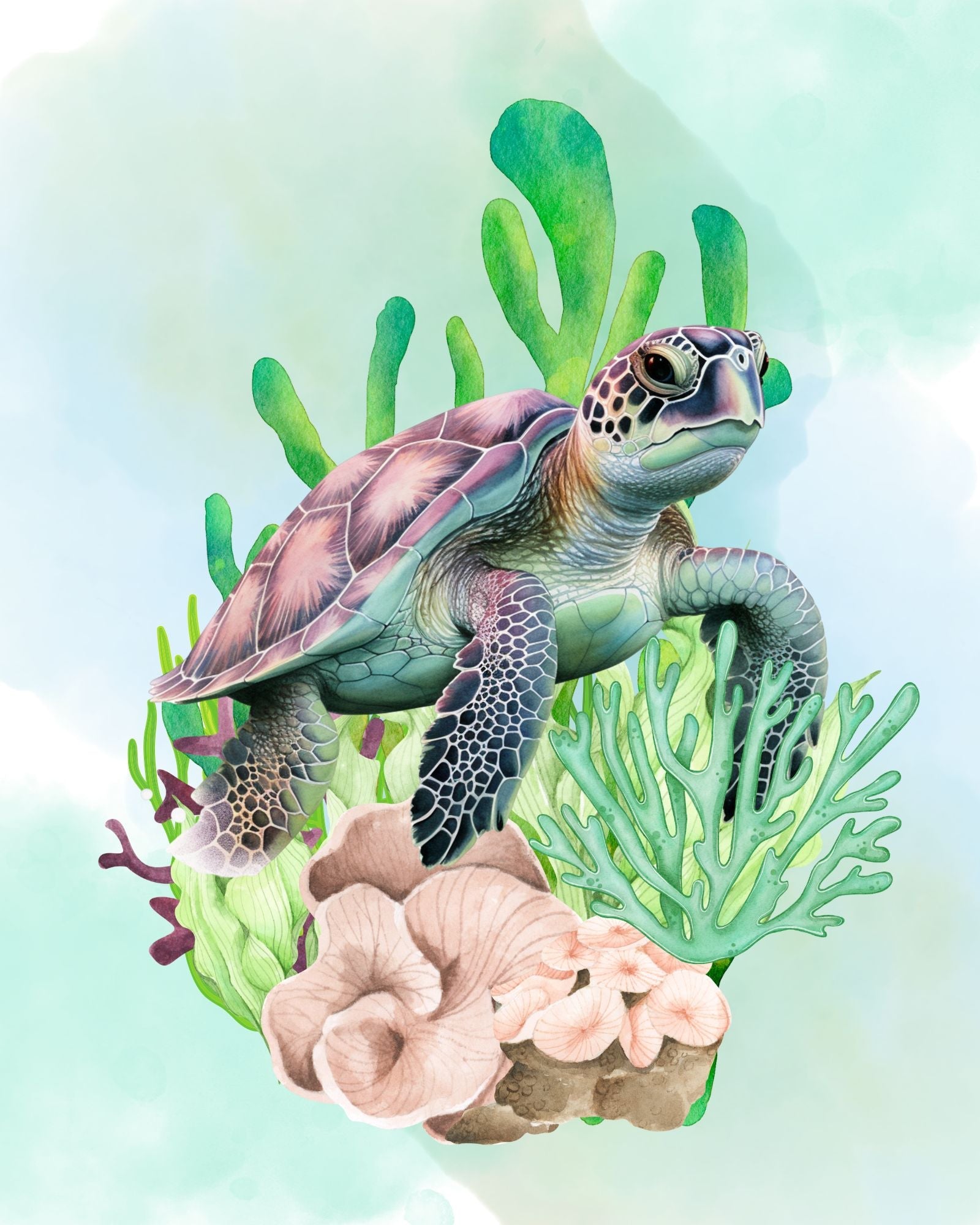 Sea turtle 8x10 art print - Latitudes Designs